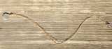 Gold Filled 17" Chain Necklace with a Shell Charm