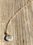 Gold Filled 17" Chain Necklace with a Shell Charm